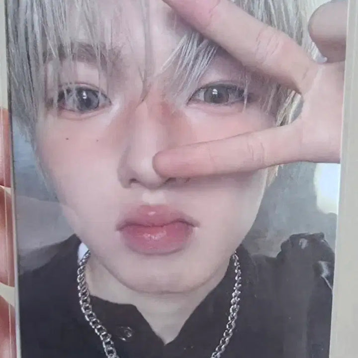 [BUNJANG] NCT WISH Anteros Sakuya Photocard (O.to.LOVER Package) / 엔시티위시 안테로스 사쿠야 포카 (NCTWISH 오드투러브 패키지)