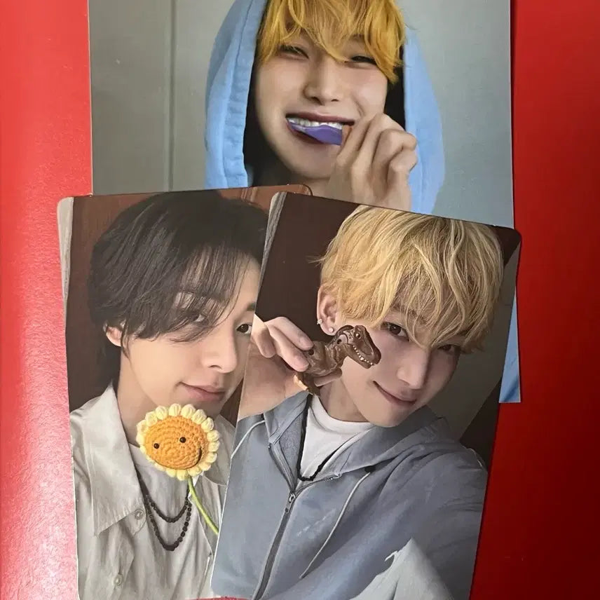 [BUNJANG] ENHYPEN Romanized Untold Sunoo Jake Album Full Set / 엔하이픈 로맨스언톨드 선우 엔진반 앨범 풀세트 선우, 제이크
