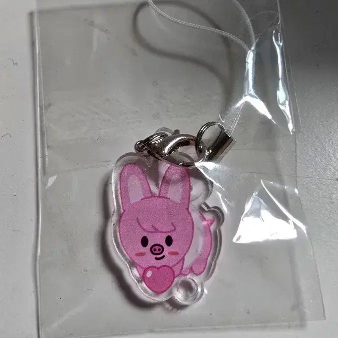 [BUNJANG] Stray Kids Fanmeeting Dwaekki Keyring / 스트레이키즈 팬미팅 키링 돼끼