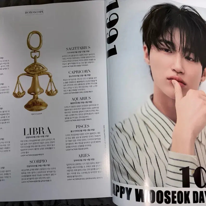 [BUNJANG] Byeon Woo Seok Birthday Fan Project Magazine / 변우석 생일조공 바자 매거진