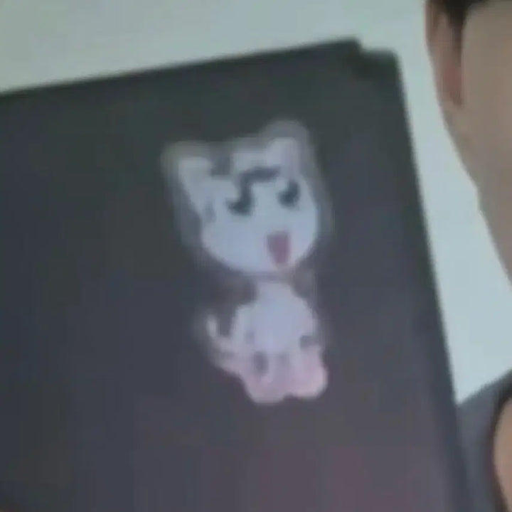 [BUNJANG] Yang Jeong Won Tamama Clear Sticker / 고양이 타마마 띠부실 양정원 케로로 타마마 투명스티커