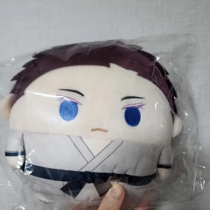 [BUNJANG] Demon Slayer Hakuji Fuwakororin M Size / 귀멸의칼날 하쿠지 후와코로링M사이즈 판매합니다.