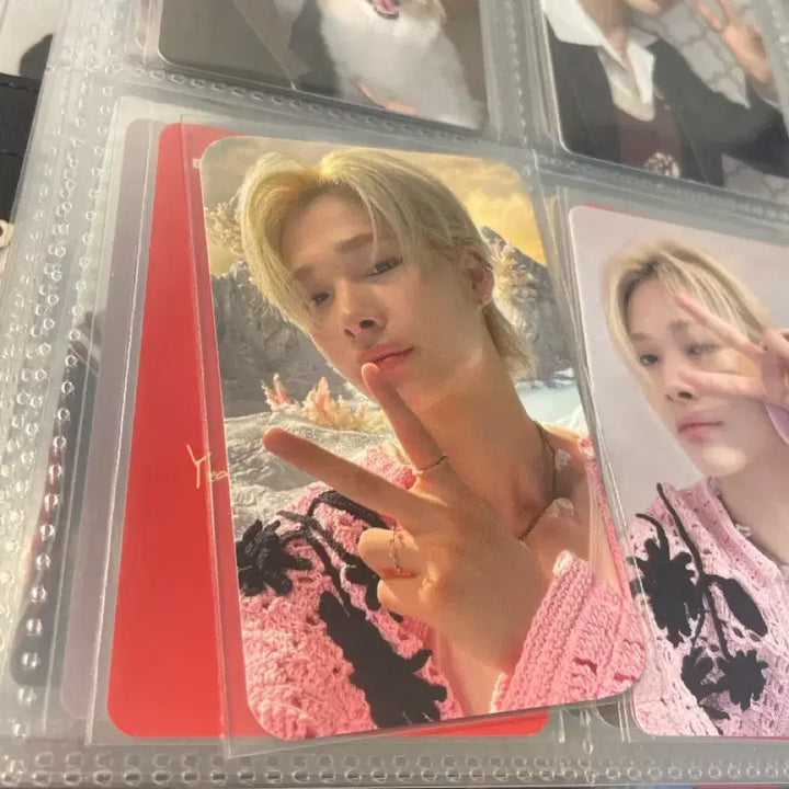 [BUNJANG] ENHYPEN Sunghoon Dark Blood Studio Photocard / 니키 새크파 공방포카 양도 다크블러드 엔하이픈
