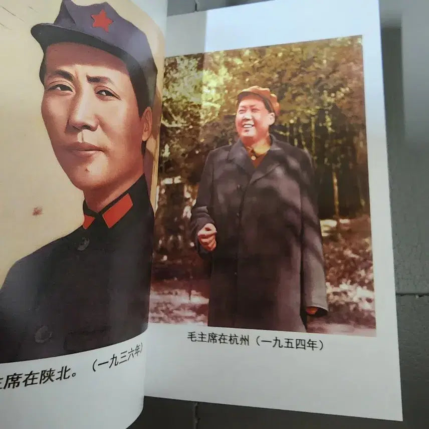 [BUNJANG] Mao Zedong&
