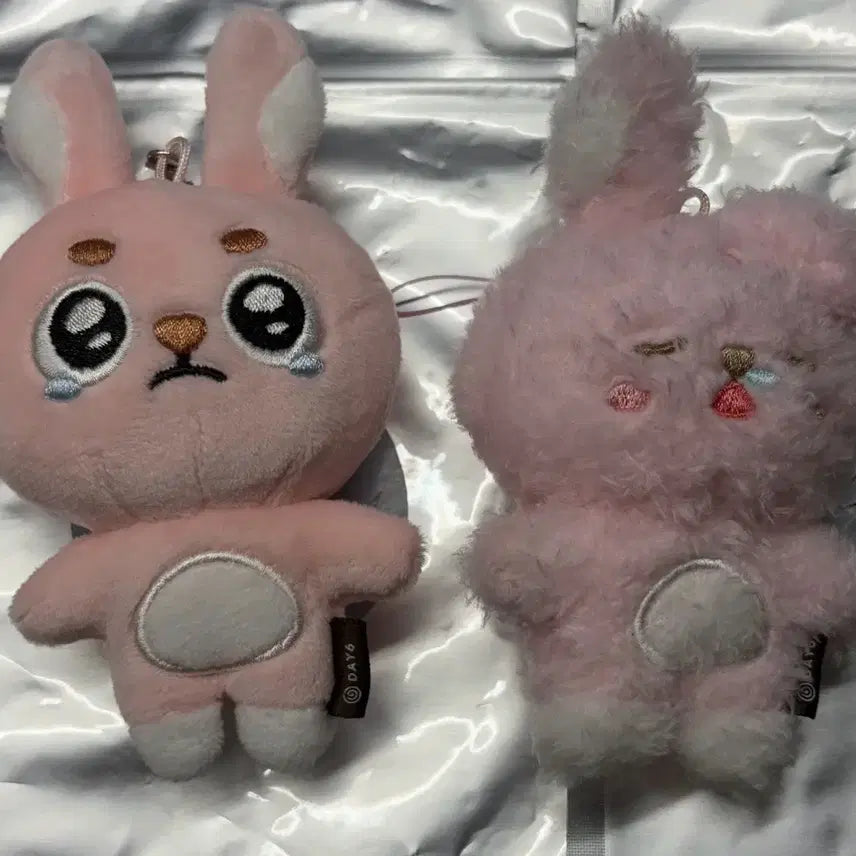 [BUNJANG] Day6 Wonpil Secret Keychain Bundle Set / 데이식스 원필 시크릿 키링 일괄