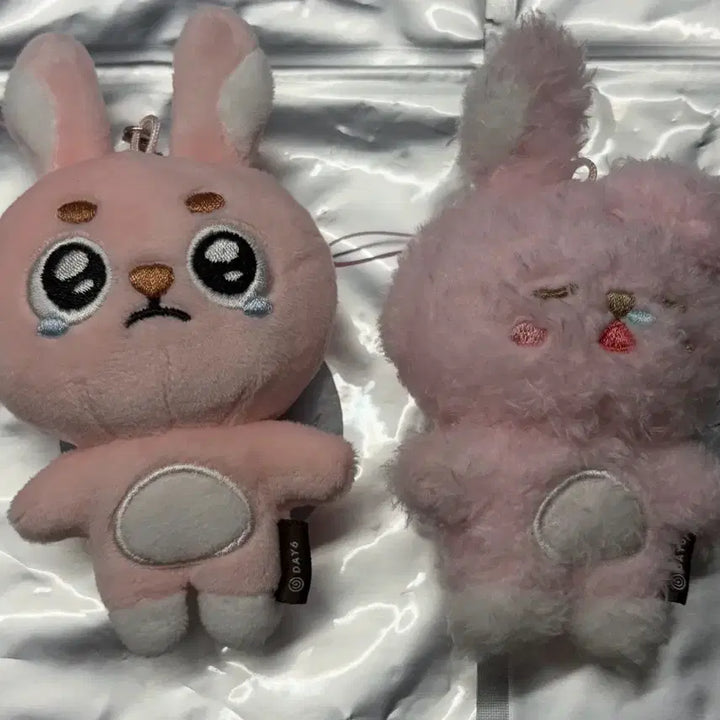 [BUNJANG] Day6 Wonpil Secret Keychain Bundle Set / 데이식스 원필 시크릿 키링 일괄