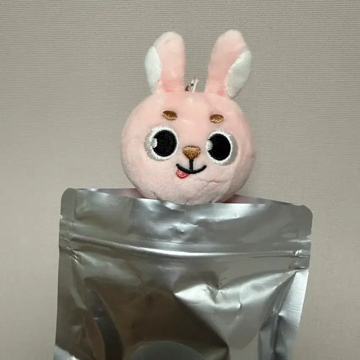 [BUNJANG] DAY6 Wonpil Unfiltered Secret Keyring / 원필 솔콘 언필터드 시크릿키링 메롱필 양도