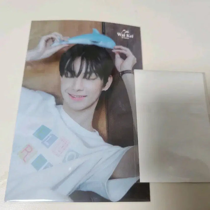 [BUNJANG] Choi Ripwoo YK Photocard + Postcard Set / 최립우 와이케이 포카+엽서 세트 양도