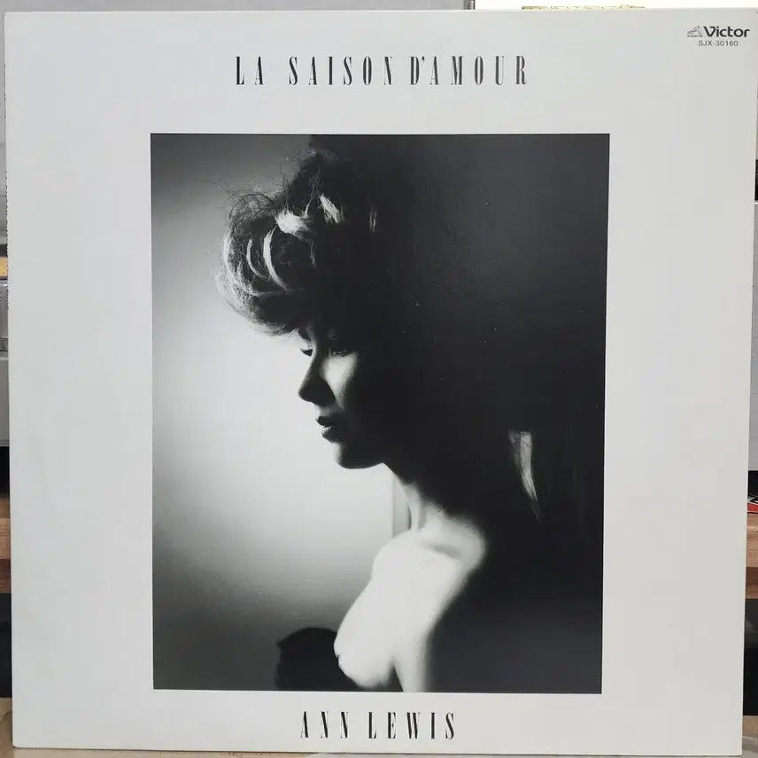 [BUNJANG] Ann Lewis City Pop LP / 시티팝 Ann Lewis LP