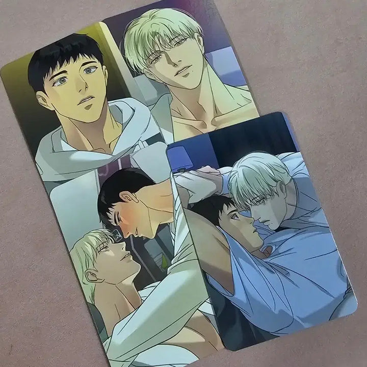 [BUNJANG] Backlight Photocard Bundle Set / 백라이트 포카 컬포 4종 일괄