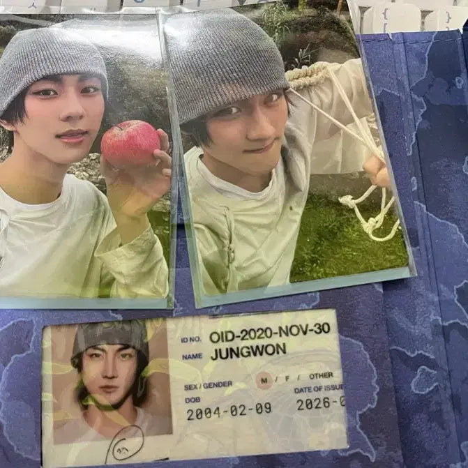 [BUNJANG] ENHYPEN JUNGWON THE NEW GENESIS Vanish Album / 엔하이픈 정원 the sin vanish 엔진반