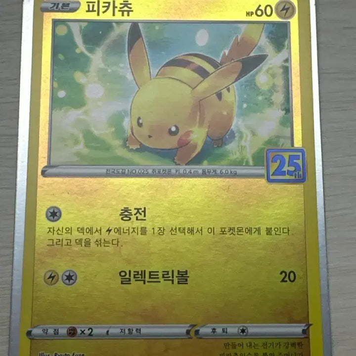 [BUNJANG] Pokemon Card Bundle (Sword &amp; Shield, Promos) / 4년전에 했던 포켓몬카드 정리합니다 프로모 포함