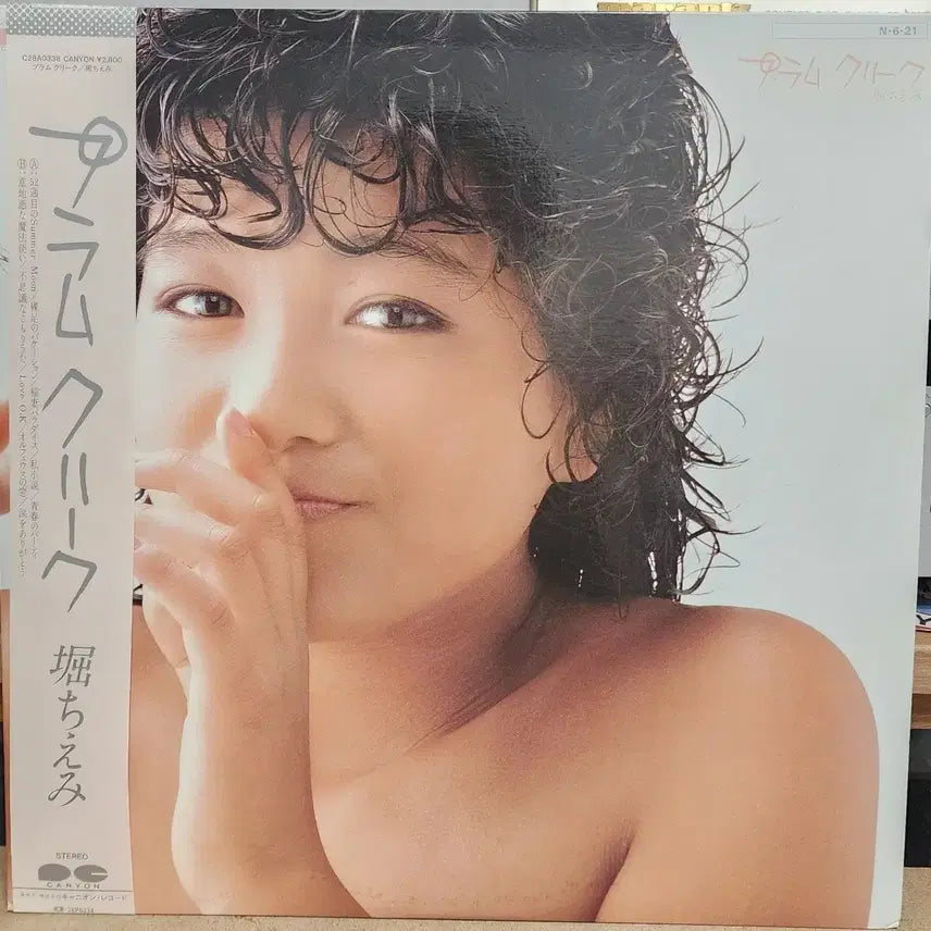 [BUNJANG] Hori Chiemi City Pop LP / 시티팝 Hori Chiemi LP
