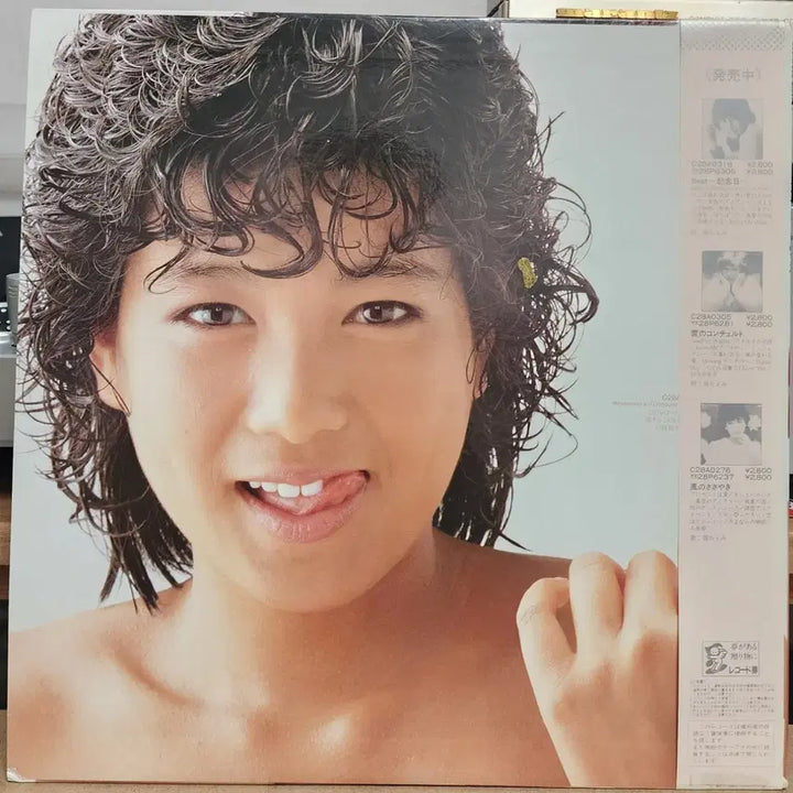 [BUNJANG] Hori Chiemi City Pop LP / 시티팝 Hori Chiemi LP