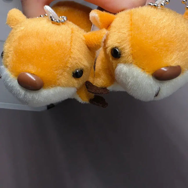 [BUNJANG] Nano Size Flying Squirrel Couple Keyring / [새상품] 나노사이즈 날다람쥐 커플 키링