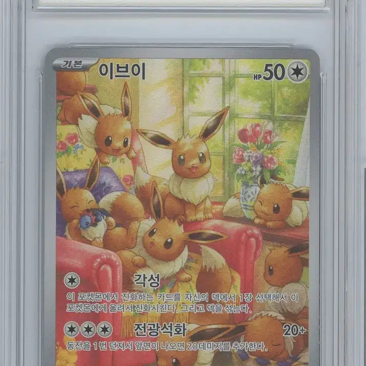 [BUNJANG] Pokemon Card Eevee AR BRG9 / 이브이 ar brg9 포켓몬카드