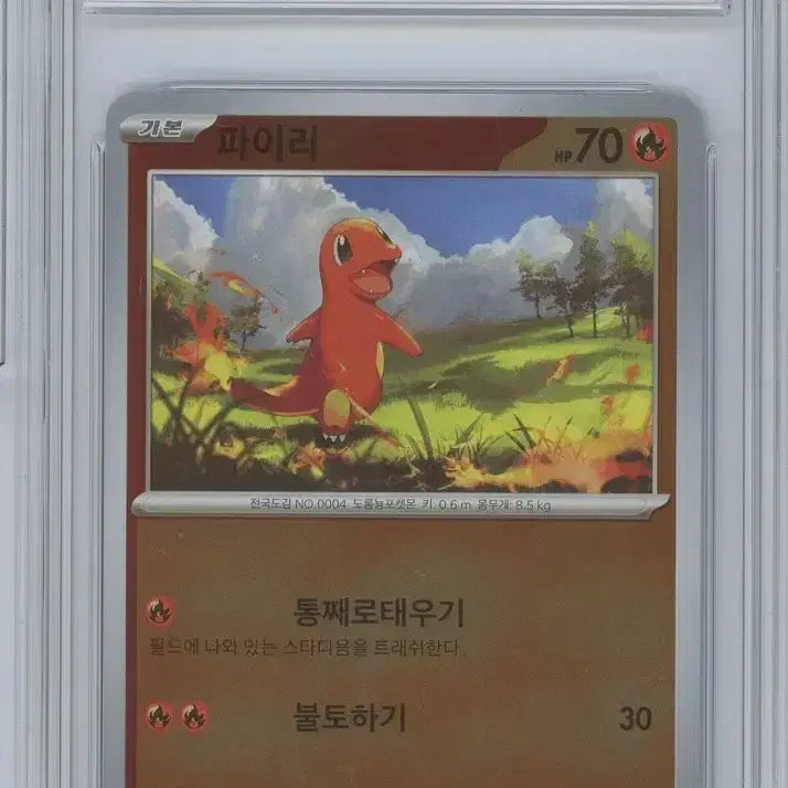 [BUNJANG] Charizard Promo BRG9 Pokemon Card / 리자몽 프로모 brg9 3연번 포켓몬카드
