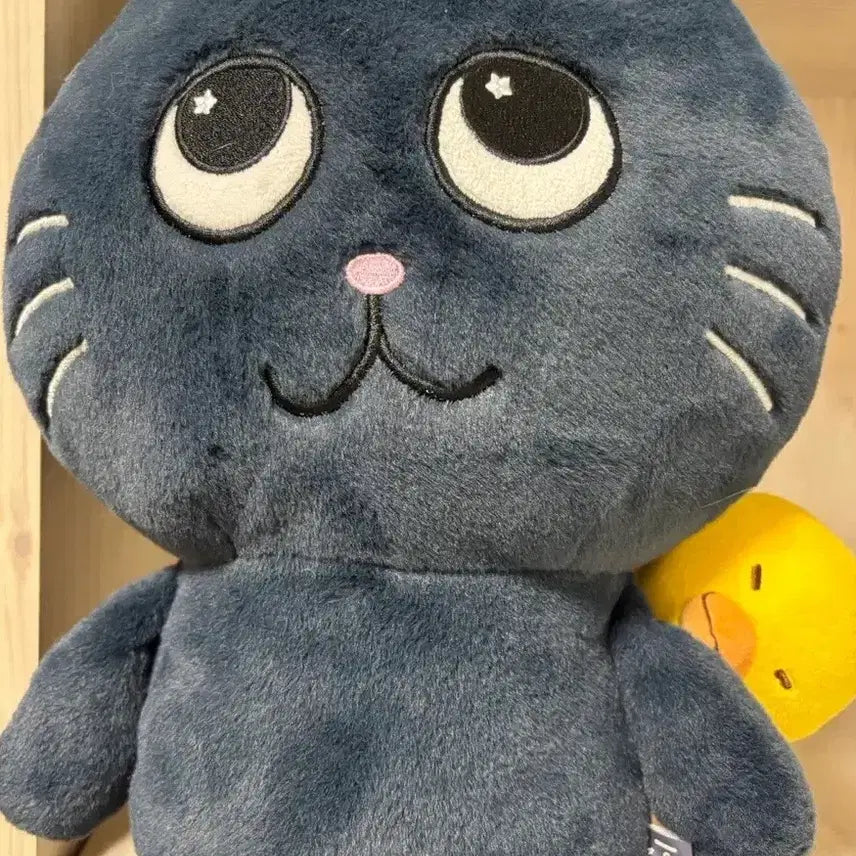 [BUNJANG] RIIZE Wonbin Toy Cat 40cm Doll / 라이즈 원빈 토냥덕 40cm 인형 양도합니다