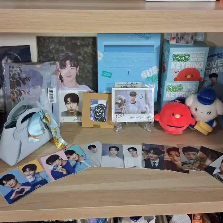 [BUNJANG] Byeon Woo-seok Merchandise Photocard, Keyring, Postcard Set / 변우석 파격가