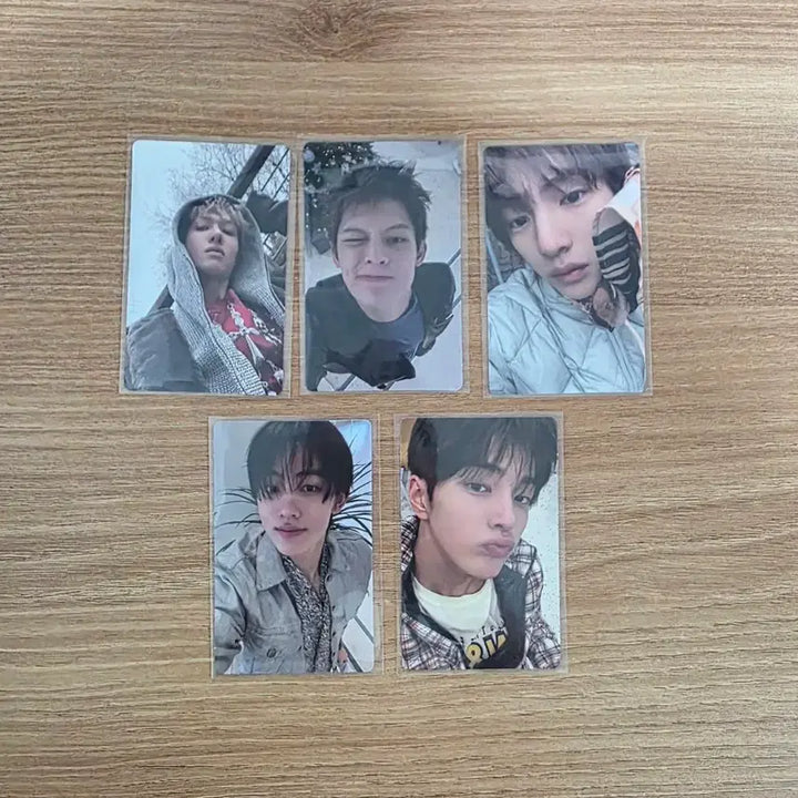 [BUNJANG] Seventeen Jeonghan Green Ensemble Weverse POB Photocard Bundle Set / 코르티스 그린그린 위버스 특전 포카 일괄 양도