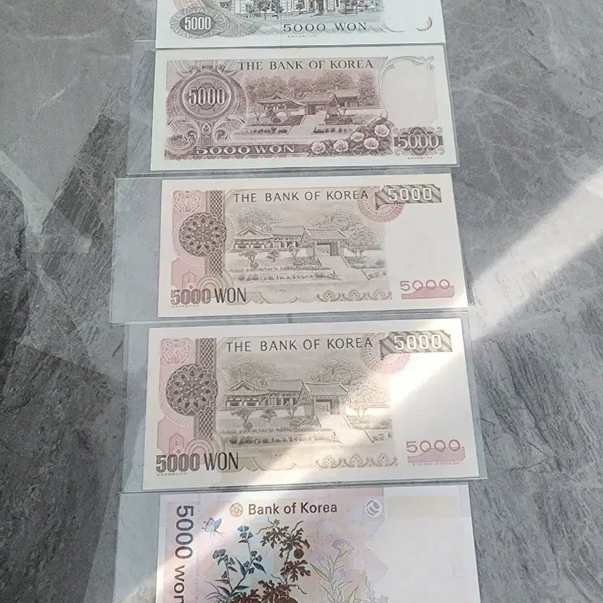 [BUNJANG] Bank of Korea 5,000 Won Banknote Set (5 Types) / [미사용]한국은행 옛날지폐 오천원권 화폐세트 5종 옛날돈 1~5차권