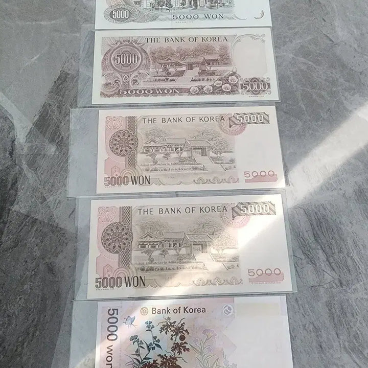 [BUNJANG] Bank of Korea 5,000 Won Banknote Set (5 Types) / [미사용]한국은행 옛날지폐 오천원권 화폐세트 5종 옛날돈 1~5차권