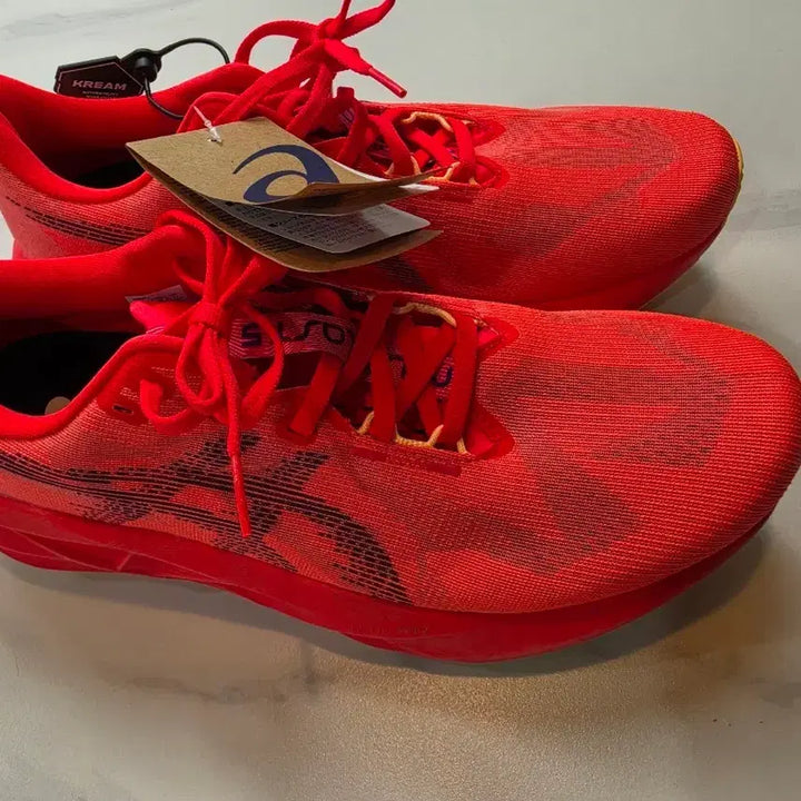 [BUNJANG] Asics NovaBlast 5 Running Shoes (285mm) / (새상품)아식스 노바블라스트 5 러닝화 285.(275~280)