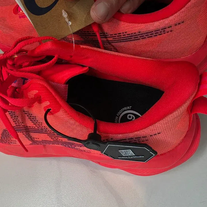 [BUNJANG] Asics NovaBlast 5 Running Shoes (285mm) / (새상품)아식스 노바블라스트 5 러닝화 285.(275~280)