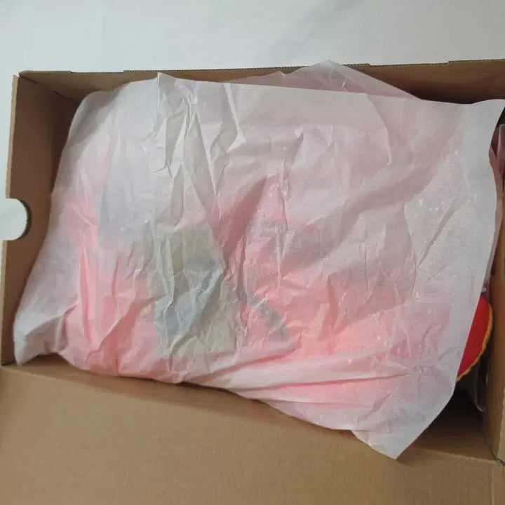 [BUNJANG] Asics NovaBlast 5 Running Shoes (285mm) / (새상품)아식스 노바블라스트 5 러닝화 285.(275~280)