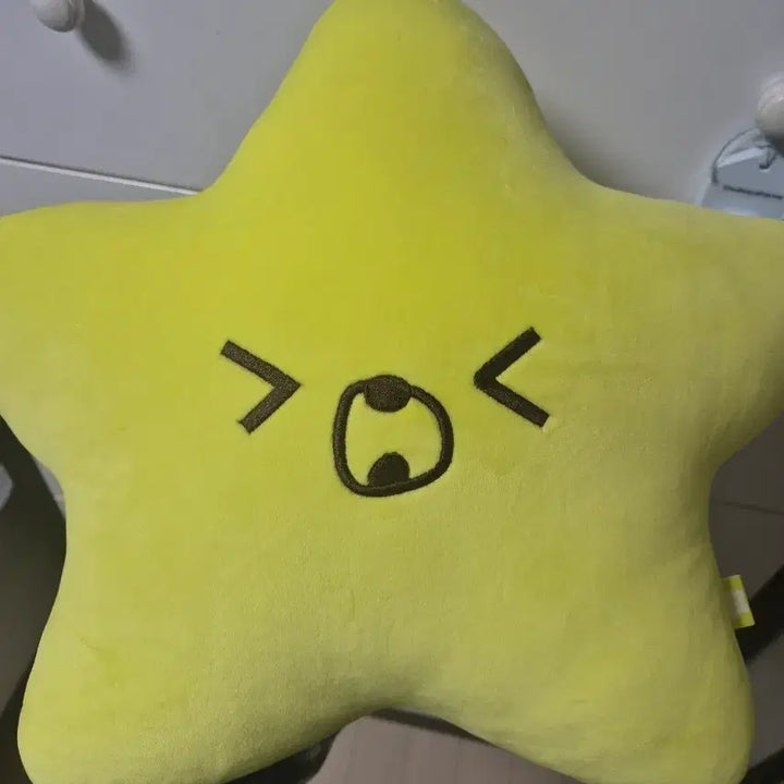 [BUNJANG] NCT Haechan Sunflower Cushion / 햇가사리 해찬 쿠션 양도