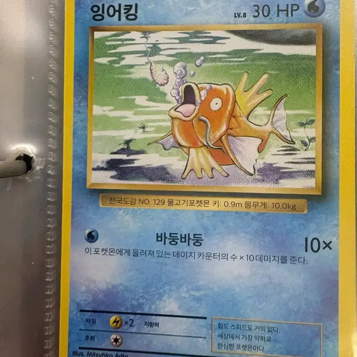 [BUNJANG] Vintage Pokemon Cards / 포켓몬카드