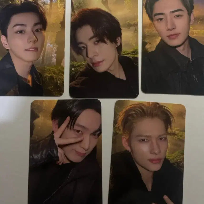[BUNJANG] ENHYPEN Blood Kindom Photocard Bundle Set (Sunoo, Jake, Sunghoon, Jay, Ni-ki, Jungwon) / 블러드사가 엔진존 포카 일괄 정원 제이크 성훈 선우 니키