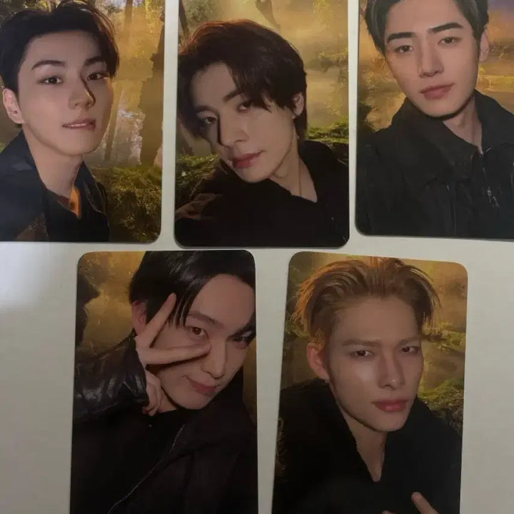 [BUNJANG] ENHYPEN Blood Kindom Photocard Bundle Set (Sunoo, Jake, Sunghoon, Jay, Ni-ki, Jungwon) / 블러드사가 엔진존 포카 일괄 정원 제이크 성훈 선우 니키