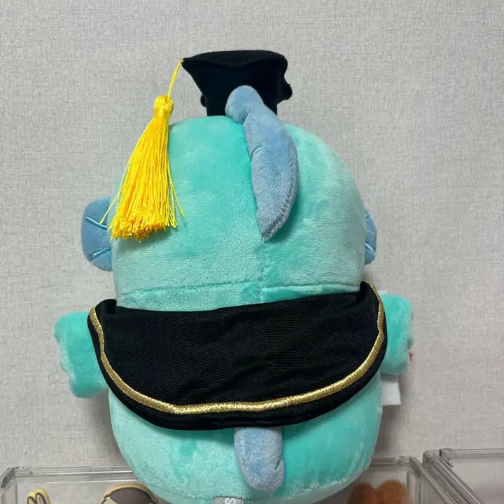 [BUNJANG] Sanrio Hangyodon Graduation Cap Medium Plush / 산리오 한교동 학사모 중형 인형 판매합니다