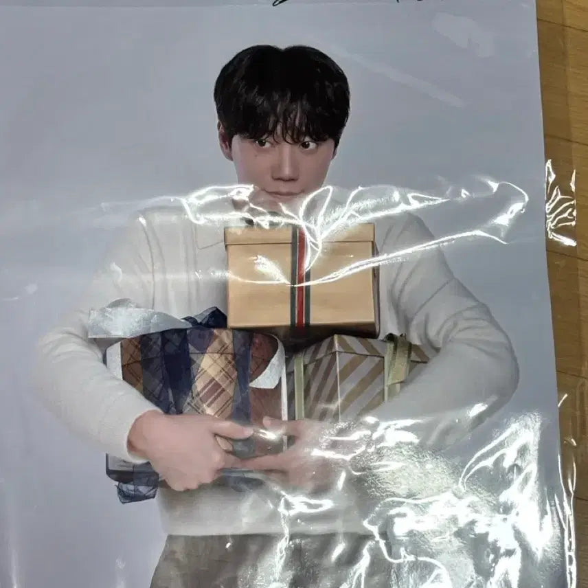 [BUNJANG] Lee Junyoung Chabres Garden Poster / 이준영 샤브르정원 포스터