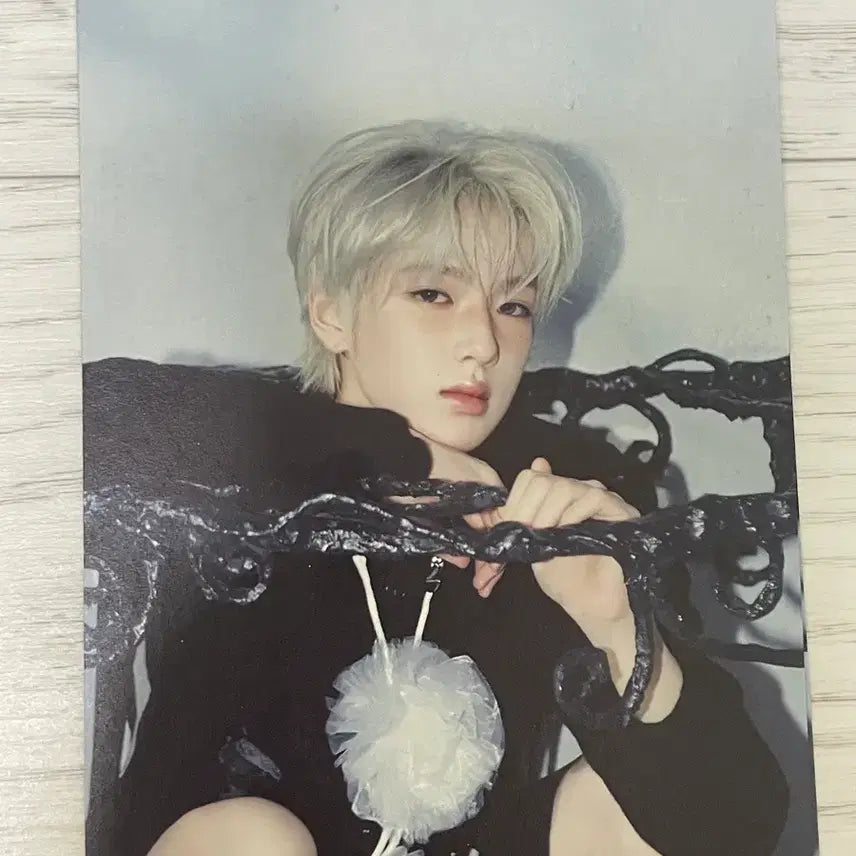 [BUNJANG] NCT WISH Odd To Love Anterose Package Sakuya Postcard / 엔시티위시 오드투러브 안테로스 패키지 엽서 사쿠야