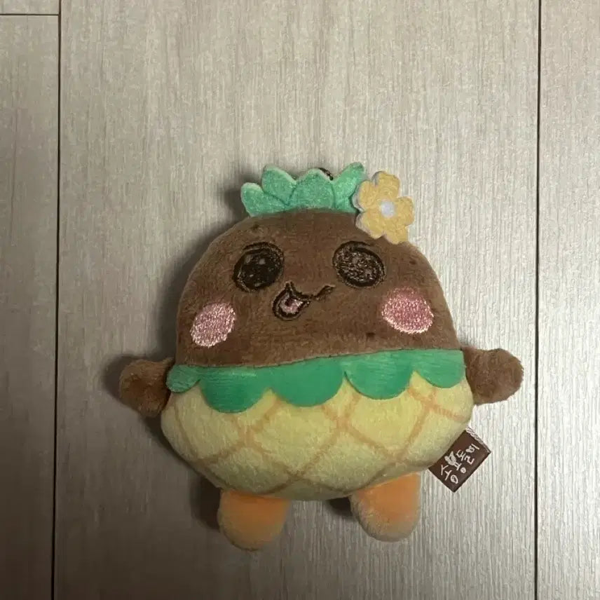 [BUNJANG] RIIZE Eunseok Mini Concert Doll Pineapple / 라이즈 은석 미니 태닝 송용돌이 파인애플 라이징라우드 콘서트단콘인형