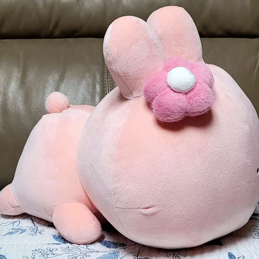 [BUNJANG] Jjang Friends Asamimichan Large Doll (38cm) / 짱프렌즈 아사미미짱 38cm중대형 인형[새상품]