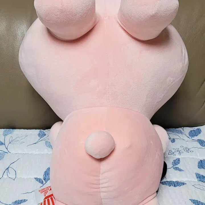 [BUNJANG] Jjang Friends Asamimichan Large Doll (38cm) / 짱프렌즈 아사미미짱 38cm중대형 인형[새상품]