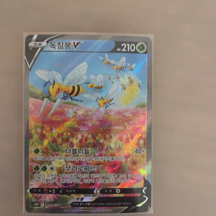 [BUNJANG] Poison Sting V SR Special Edition Card / 독침붕v sr 특일