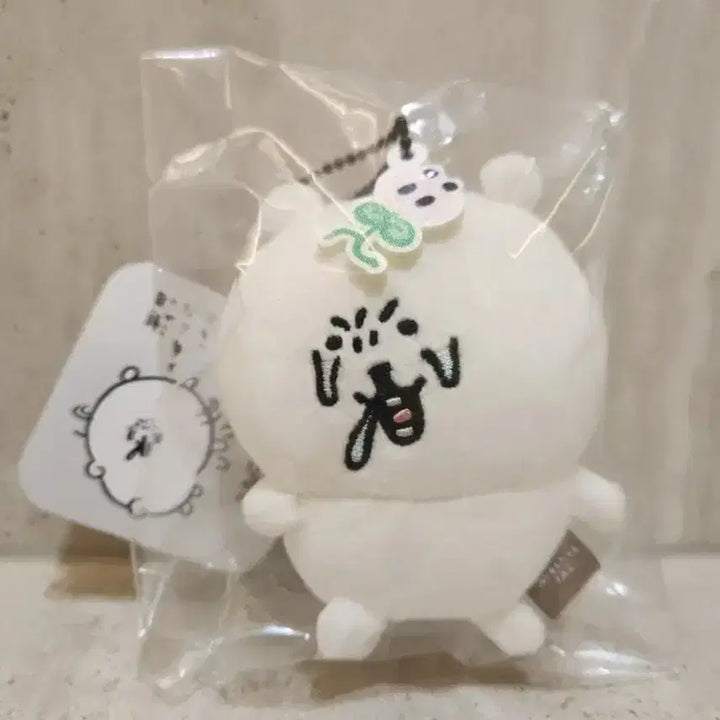 [BUNJANG] Novelty Pig Allergy Joke Bear Clear File / 일본 정품) 덤 노벨티) 돼지풀 알러지 농담곰
