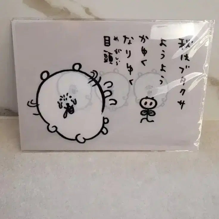 [BUNJANG] Novelty Pig Allergy Joke Bear Clear File / 일본 정품) 덤 노벨티) 돼지풀 알러지 농담곰