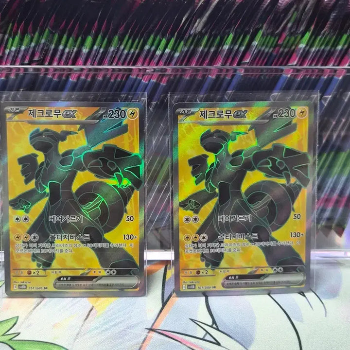 [BUNJANG] Pokemon Card Zekrom EX SR / 포켓몬카드 제크로무 EX SR