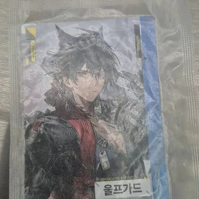 [BUNJANG] Arknights Endfield Wolfguard Akekuri Photocard / 명일방주 엔드필드 울프가드 아케쿠리 판 포토카드