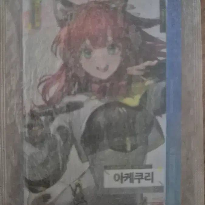 [BUNJANG] Arknights Endfield Wolfguard Akekuri Photocard / 명일방주 엔드필드 울프가드 아케쿠리 판 포토카드