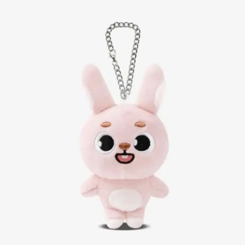 [BUNJANG] Day6 Denimals Charm Phil / 데이식스 일본 엠디 데니멀즈 백참 필