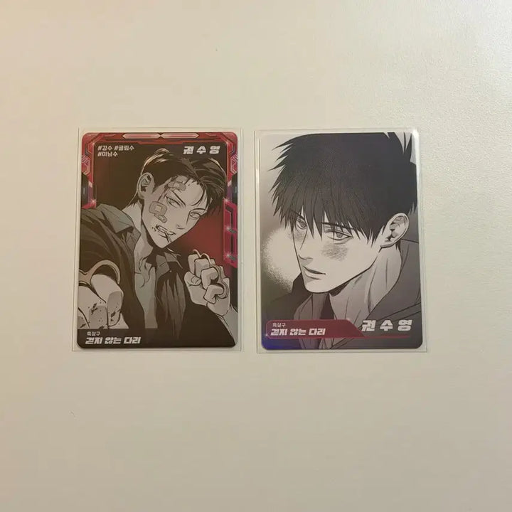 [BUNJANG] JAIME SHOP Resin SU AR Trading Card (Unbroken Legs) / 재이미샵 레진수 AR 트레이딩 카드 ( 걷지않는 다리 )