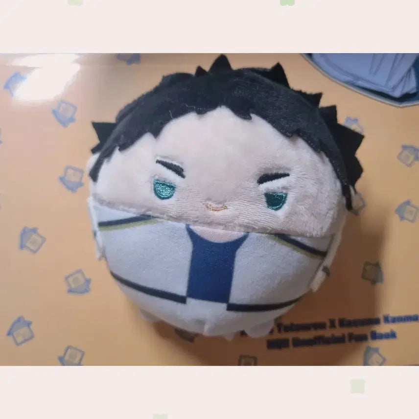 [BUNJANG] Haikyuu Akaashi Keiji Plush / 하이큐 아카아시 후와