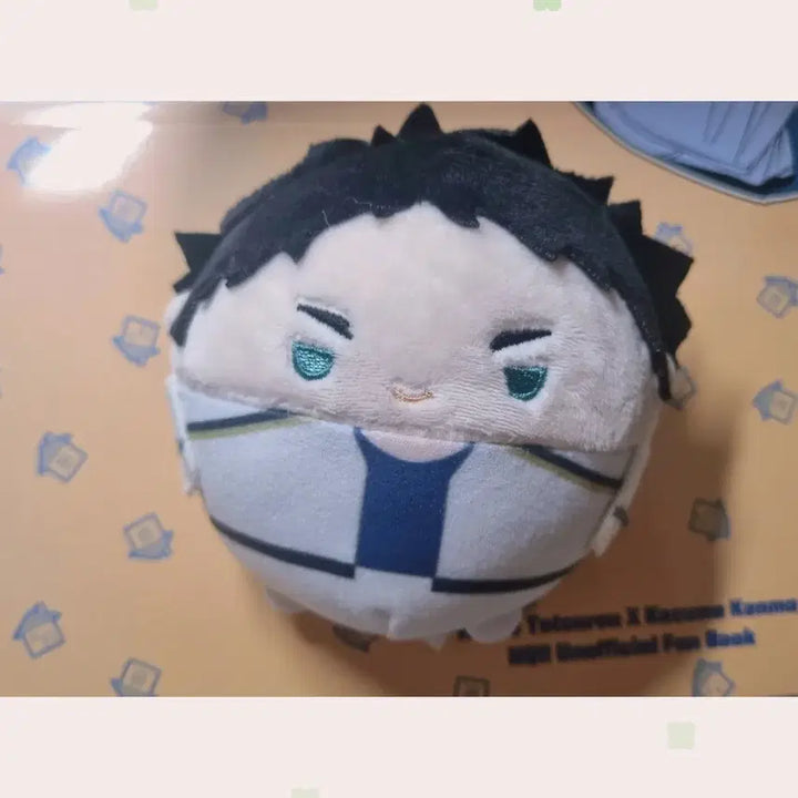 [BUNJANG] Haikyuu Akaashi Keiji Plush / 하이큐 아카아시 후와