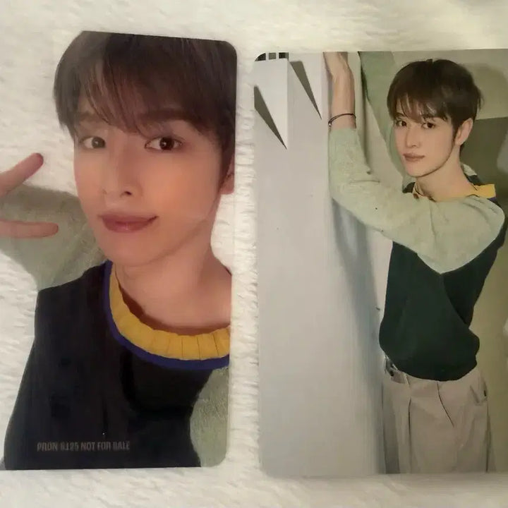 [BUNJANG] RIIZE All Of You Tokyo Dome Version Photocard / 라이즈 올오브유 도쿄돔 버전 all of you